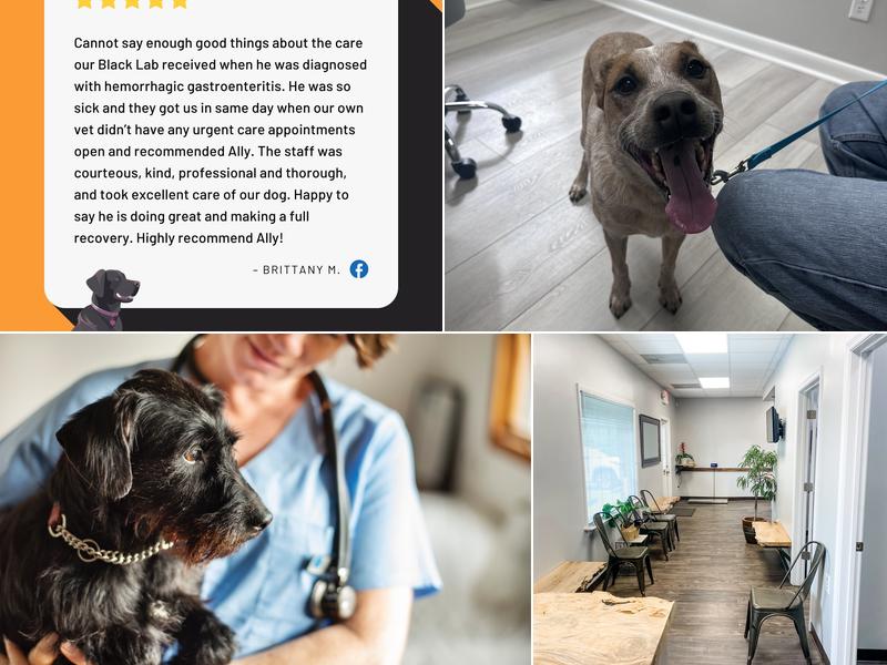 Ally Urgent Veterinary Care