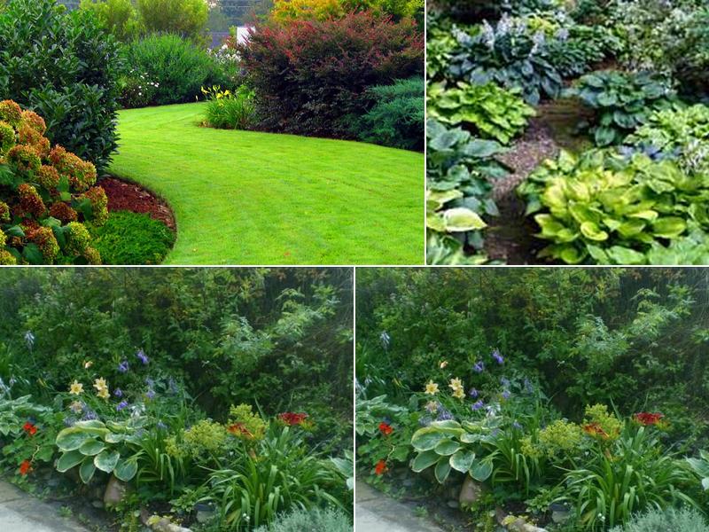 Chop Chop Landscaping