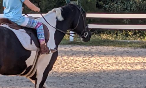 Yorktown Stables Seaford