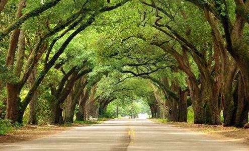 Platinum Detailing of Aiken