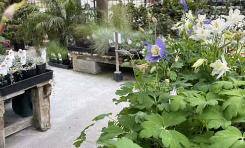 Elwood Nursery