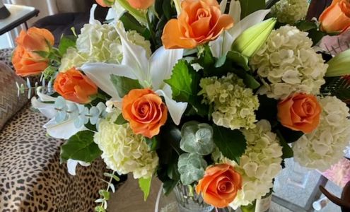 All Blooming Flowers