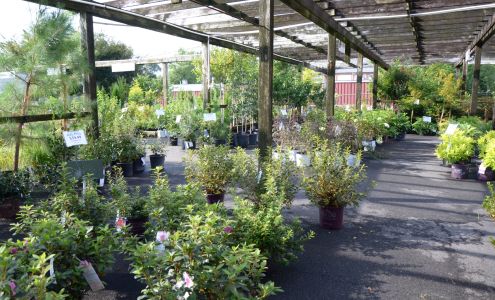 Blue Ridge Farmers Coop