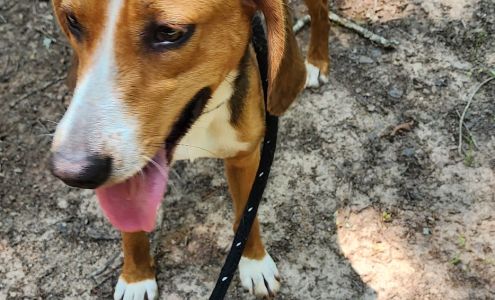 Animal Protection Society of Caswell County Yanceyville