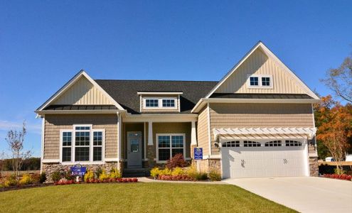 Vision Insurance Group