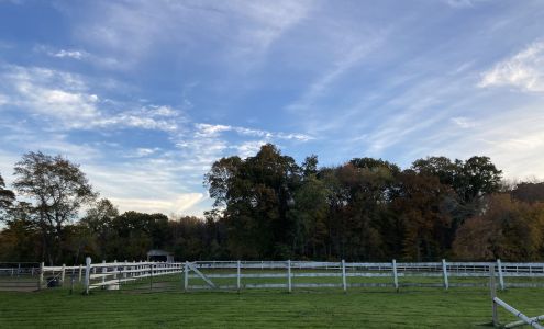 Morning Star Horse Farm Saunderstown