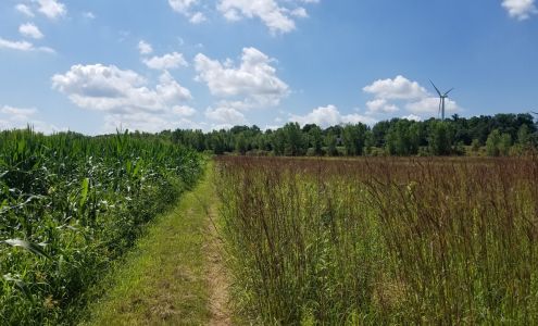 Hunters Point Hunt Club Brownsville