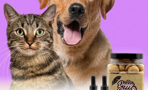 CBD American Shaman Menomonee Falls