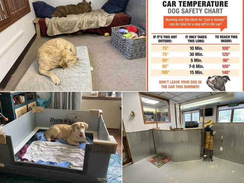 Ship Shape Pet Grooming LLC