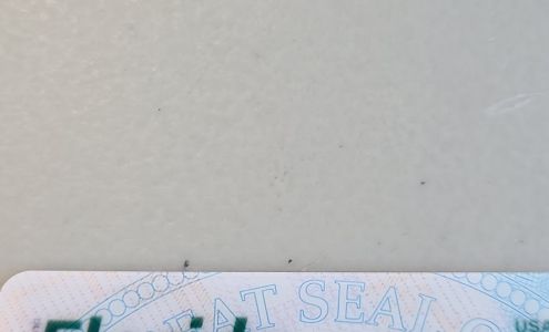 An American Driving School