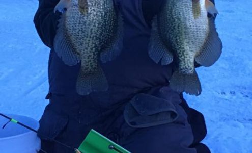 Sullivan Tip Down LLC