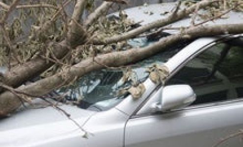 Midwest Ag Insurance: Sturgis Tammi Holdrege