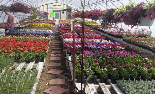 Windmill Gardens Cedar Grove