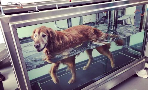 Sound Veterinary Rehabilitation Center