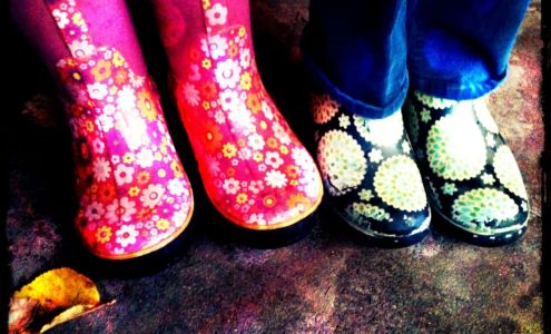 Seattle Waldorf School