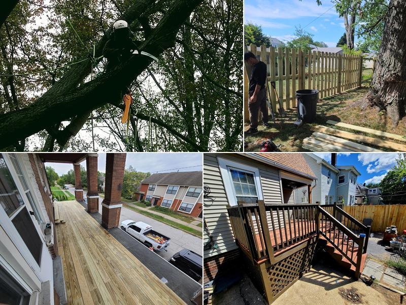 Bending branches tree service