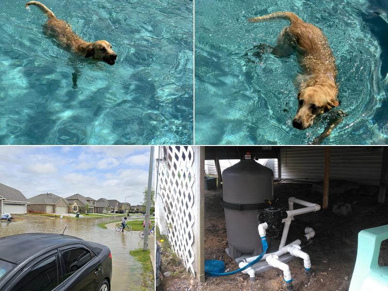 Performance pool service llc