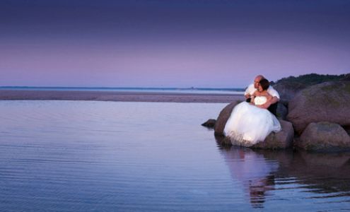 Michael O'Neill Fine Art