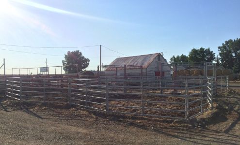 Foothills Auctioneers Inc. Stavely