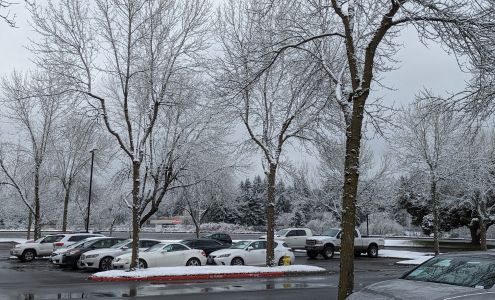 Tri Pointe Connect Washington