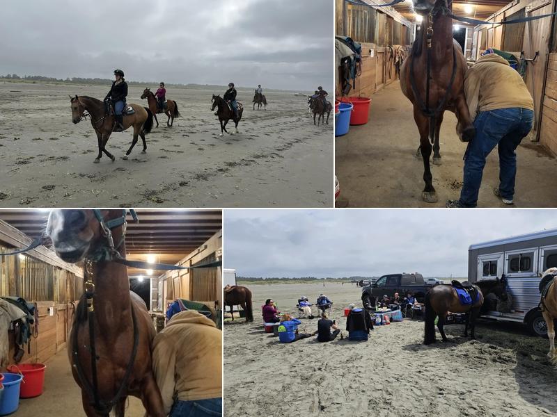 Southworth Equestrian Center