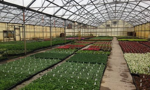 Papio Valley Nursery