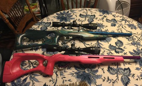 Haynes and Sons Guns LLC