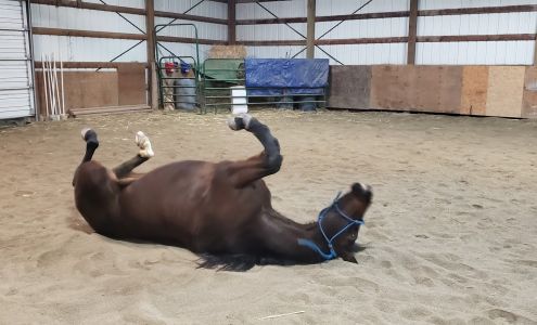 Kiesling Acres LLC Valleyford