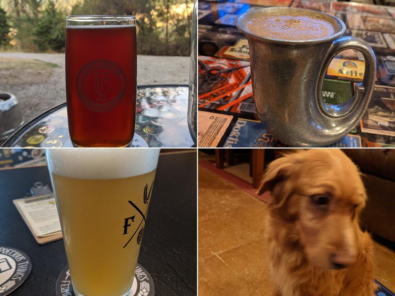 Precious Things Fermentation Project