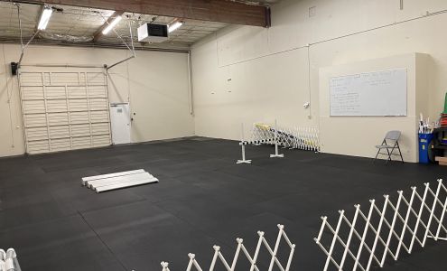 Gold Star Dog School