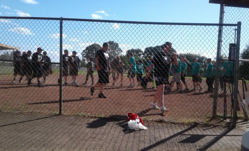 Prairie Field Brush Prairie