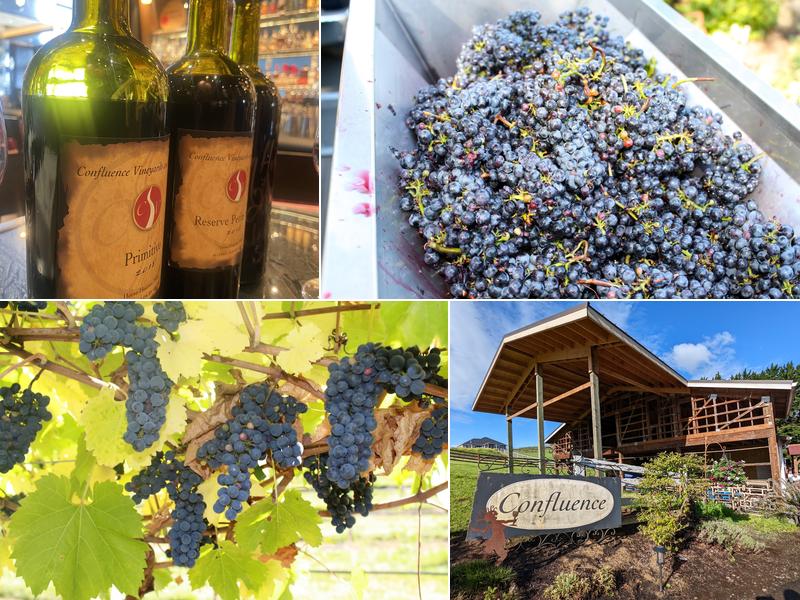Confluence Winery
