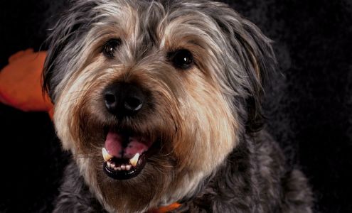 Kingdom of Basil Wellness Clinic