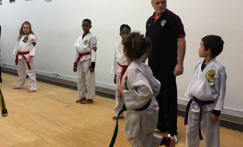 American Colleges of Mixed Martial Arts