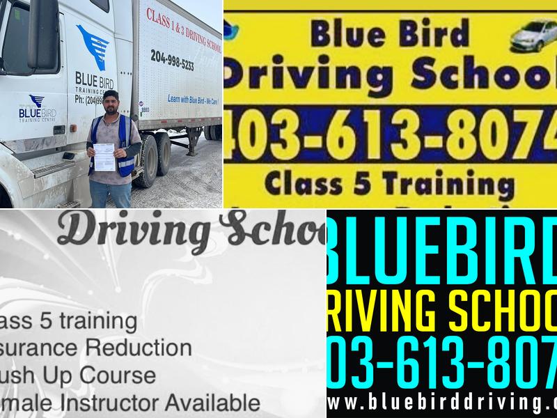 Blue Bird Driving school
