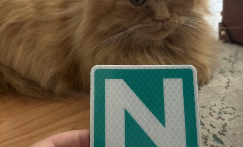 New Day Driving School 417 Great Northern Way #502, Vancouver British Columbia V5T 0G7