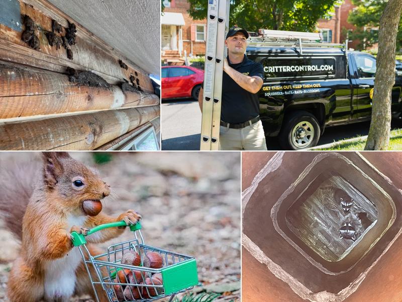 Critter Control of Greater Spokane