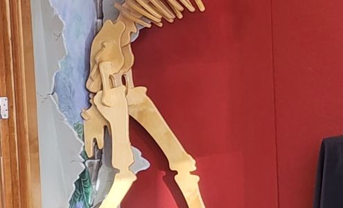 Optometric Physicians Northwest