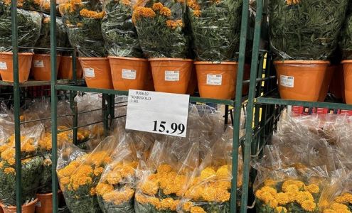 Costco Optical Department