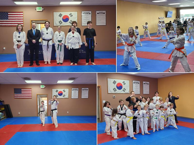 USTA Martial Arts-Arlington
