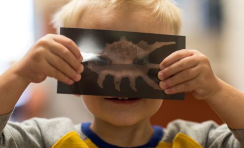 The Children's Courtyard of Issaquah