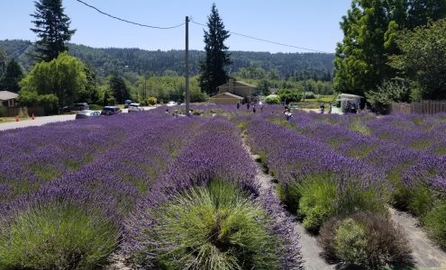 Snofalls Lavender Farm Fall City
