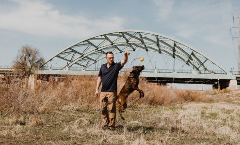 Ancillary K9 Dog Training