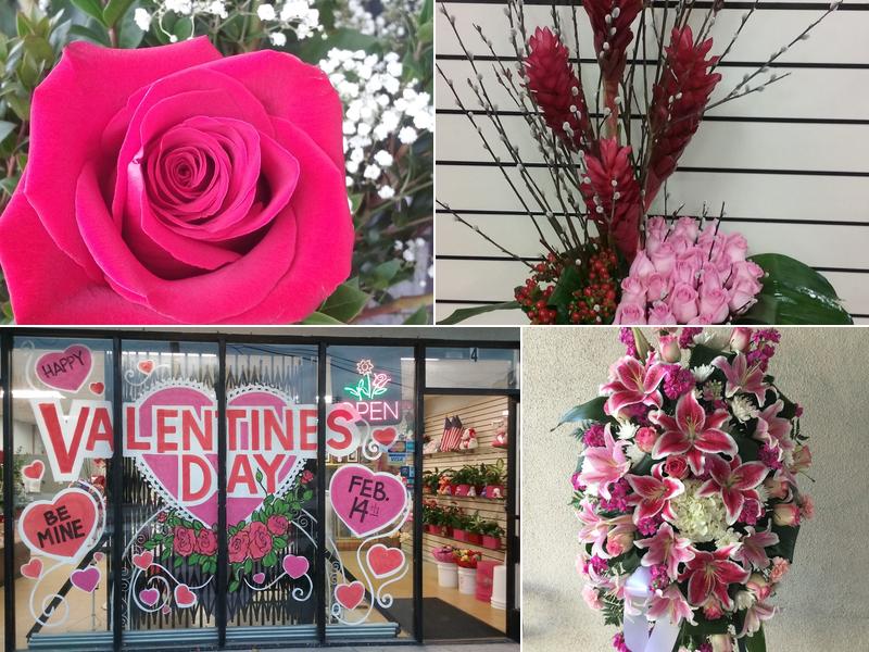 Fancy Flowers & Plants