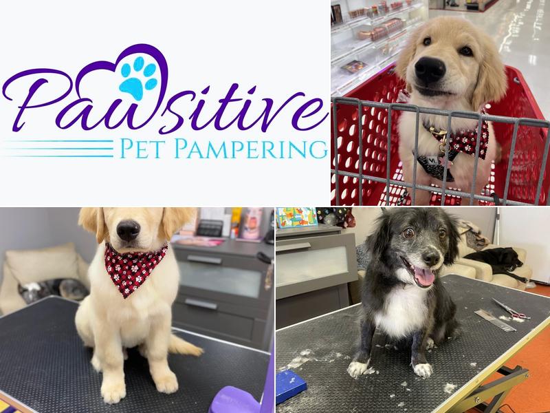 Pawsitive Pet Pampering