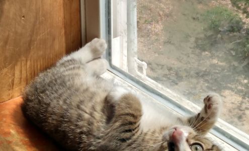 Here Today Adopted Tomorrow Animal Sanctuary Brimfield