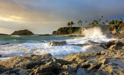 Merrill Lynch Financial Advisor Nicholas Anthony