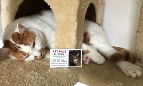 Pet Pals Cat Sitting San Diego