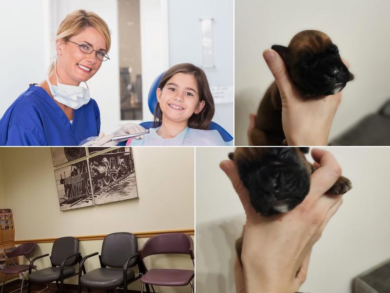 Pittsburgh Children's Dentistry