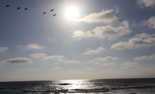 San Diego Center for Vision Care